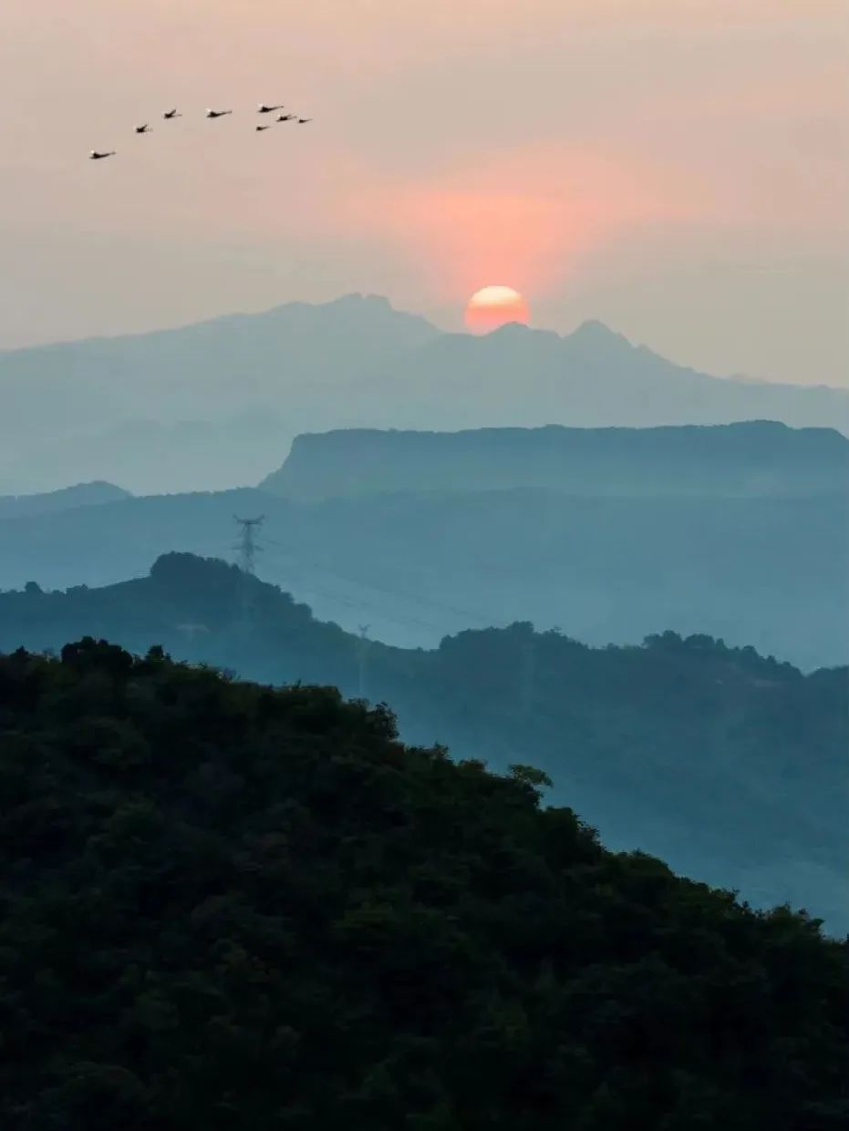 回到早睡早起的日子,回老家朝九晚五