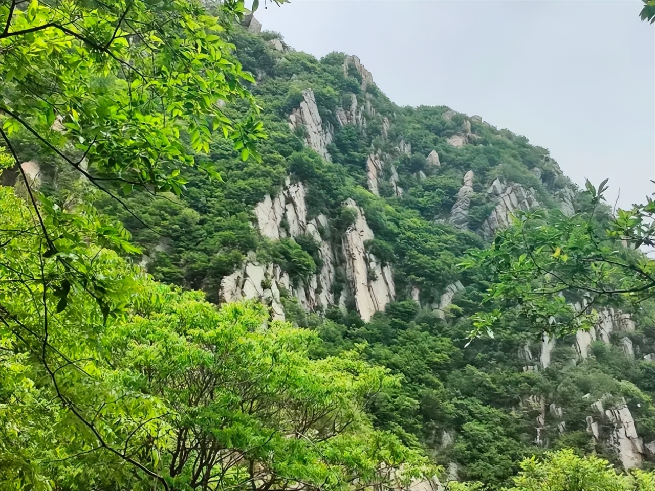 郑州最适合自驾的地方,周末郑州自驾游最美路线