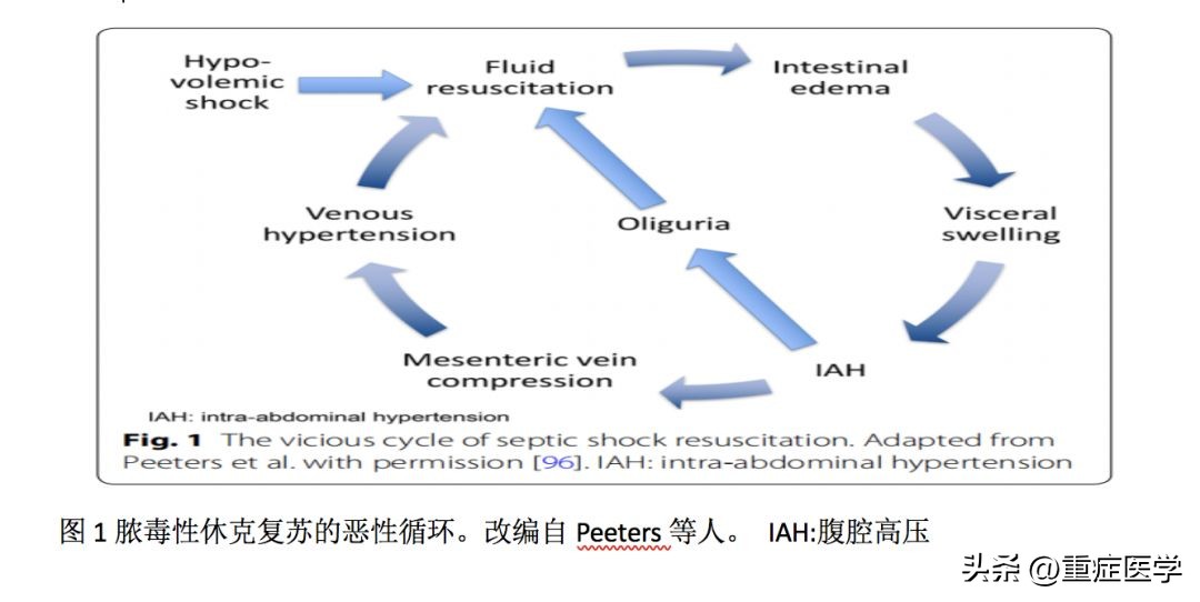 脓毒性休克护理诊断和措施,脓毒性休克的补液原则是什么