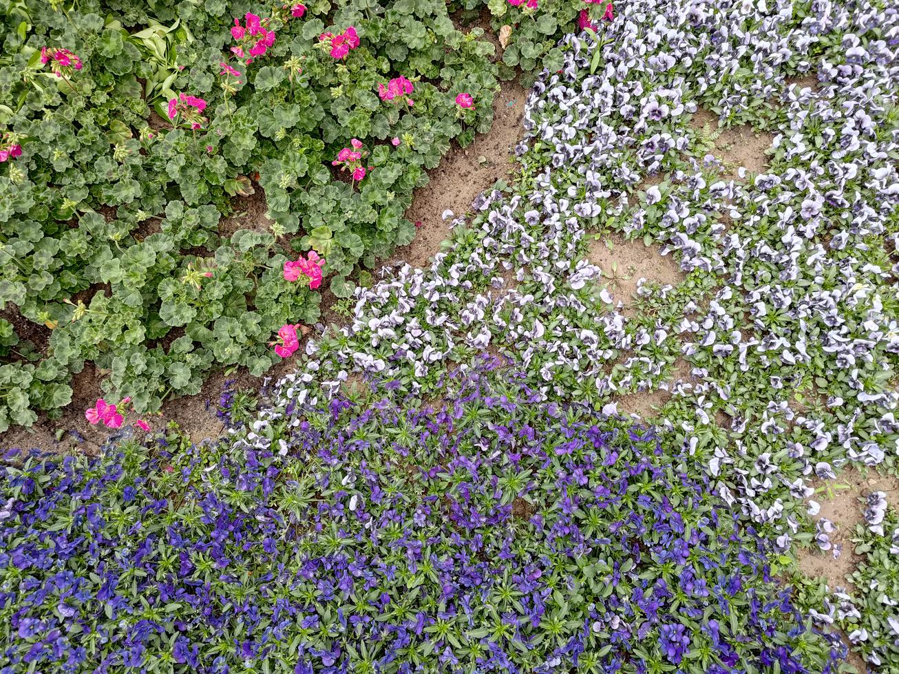 鏂板搧鑵捐rog娓告垙鎵嬫満7pro,涓撲笟鐜╁蹇呯湅鑵捐rog娓告垙鎵嬫満7pro