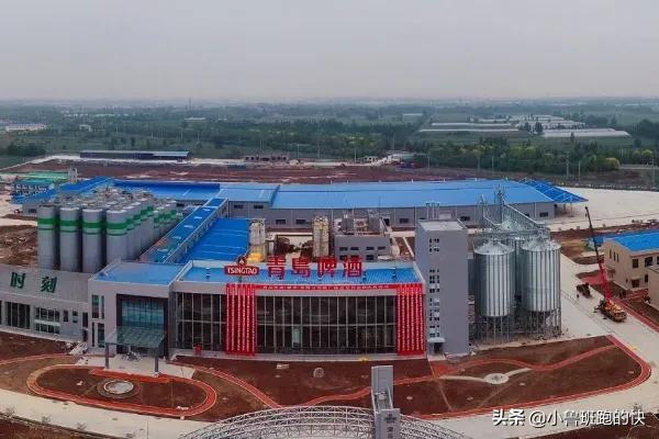 投资3.4个亿啤酒,滕州青岛啤酒厂投资