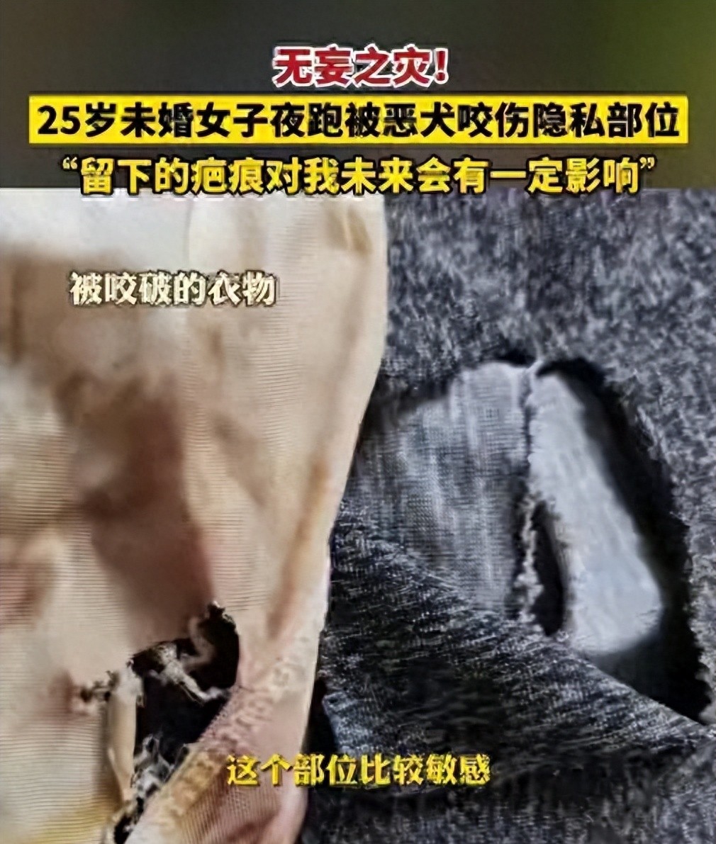 太惨了，湖北女幼师被咬隐私部位，狗主人拒赔，女子：我怎么嫁人