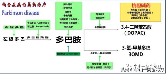 小脑萎缩跟帕金森病一样吗？如何有效地治疗？