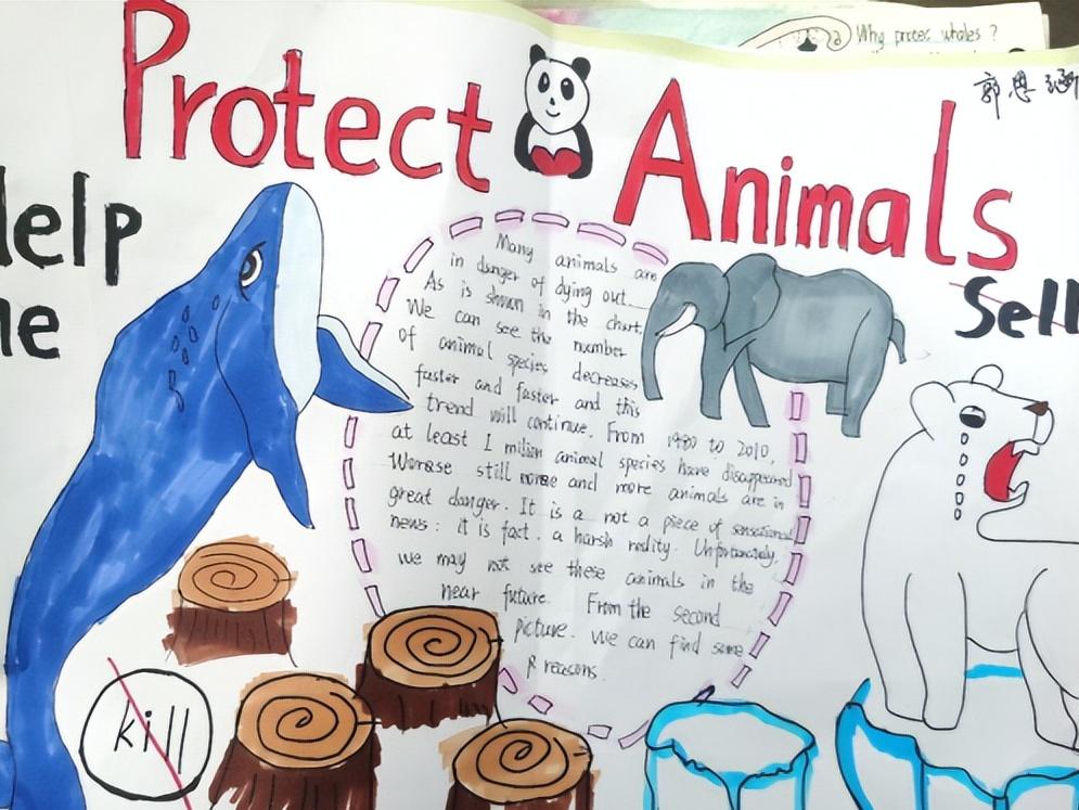 保护动物手抄报英语一等奖五年级,英语保护动物倡议手抄报