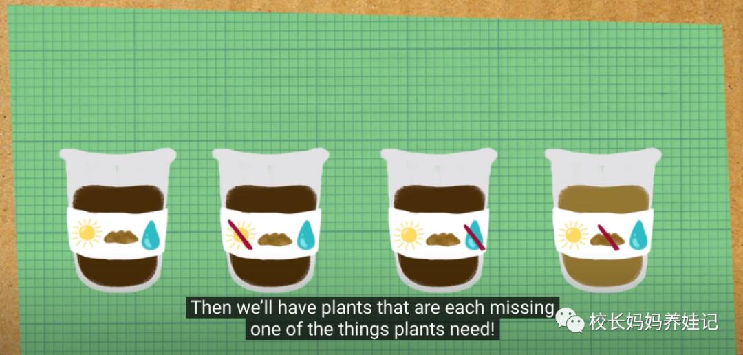 关于春天种植的英文儿歌,英文种植儿歌