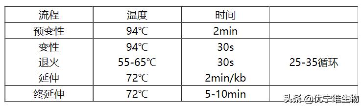 真核原核生物细胞壁,真核生物标记基因