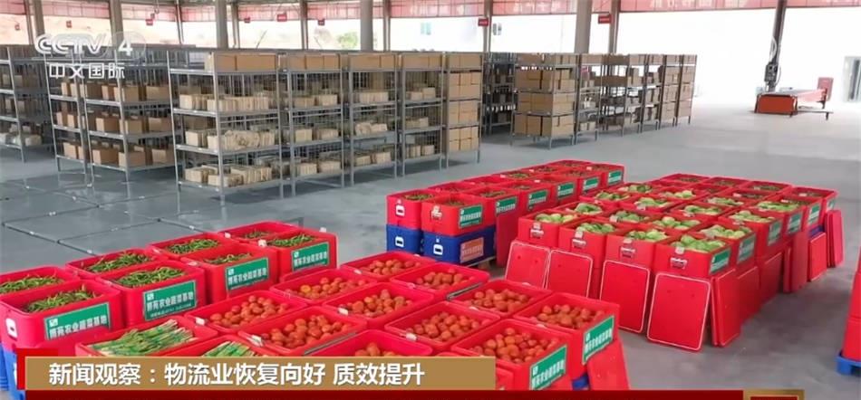 中国经济延续回升向好态势,物流加速度跑出中国经济活力