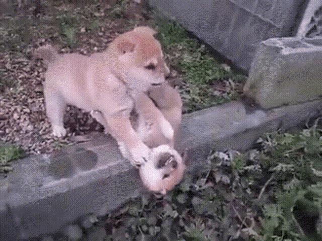 “姑娘，你知道衣服上的字是什么意思吗？”哈哈哈自信的姑娘最美