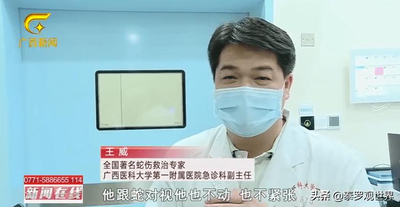 蛇为什么会把蛇打死,打蛇一定要打死不然蛇会来报复你