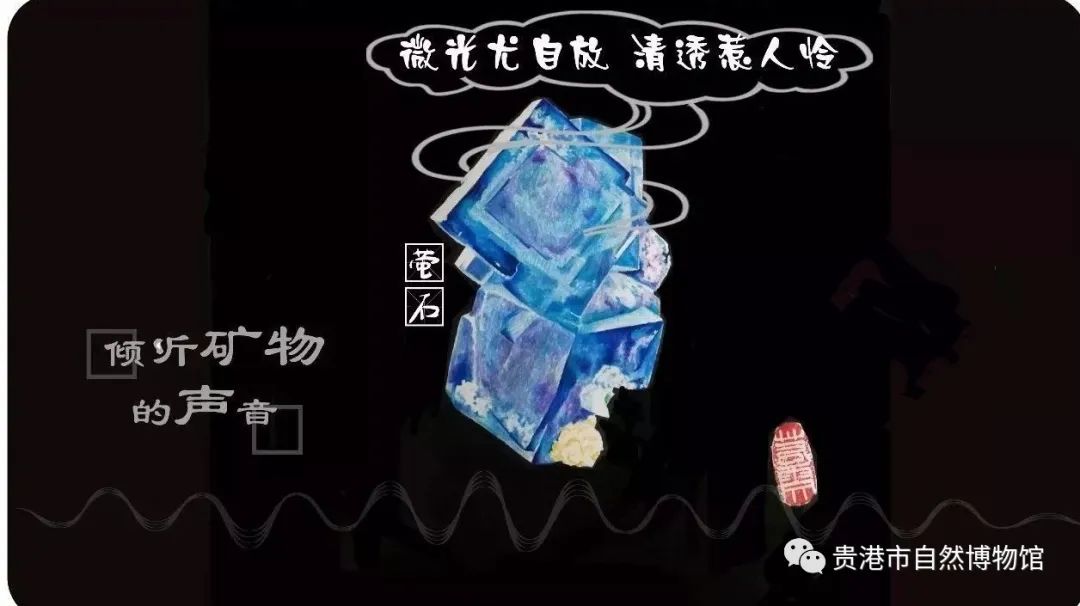 贵港自然博物馆有什么藏品,贵港自然博物馆的化石是真的吗