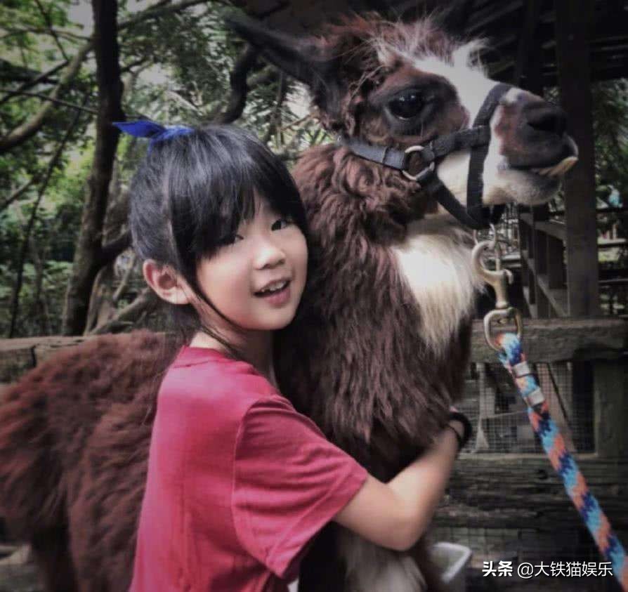 爸爸去哪儿最好看的一期,爸爸去哪儿最好看的女孩是谁