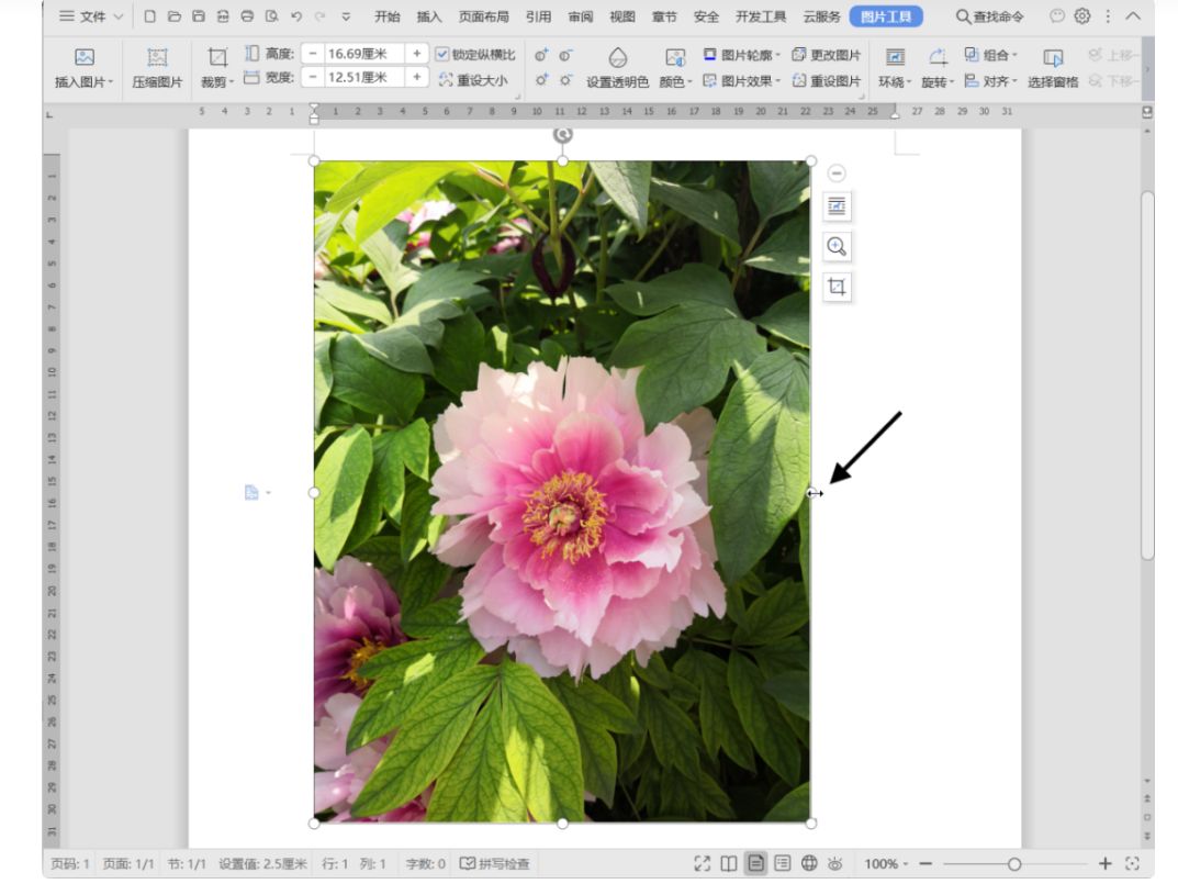 ioswps表格100个常用技巧,wpsword100个常用技巧