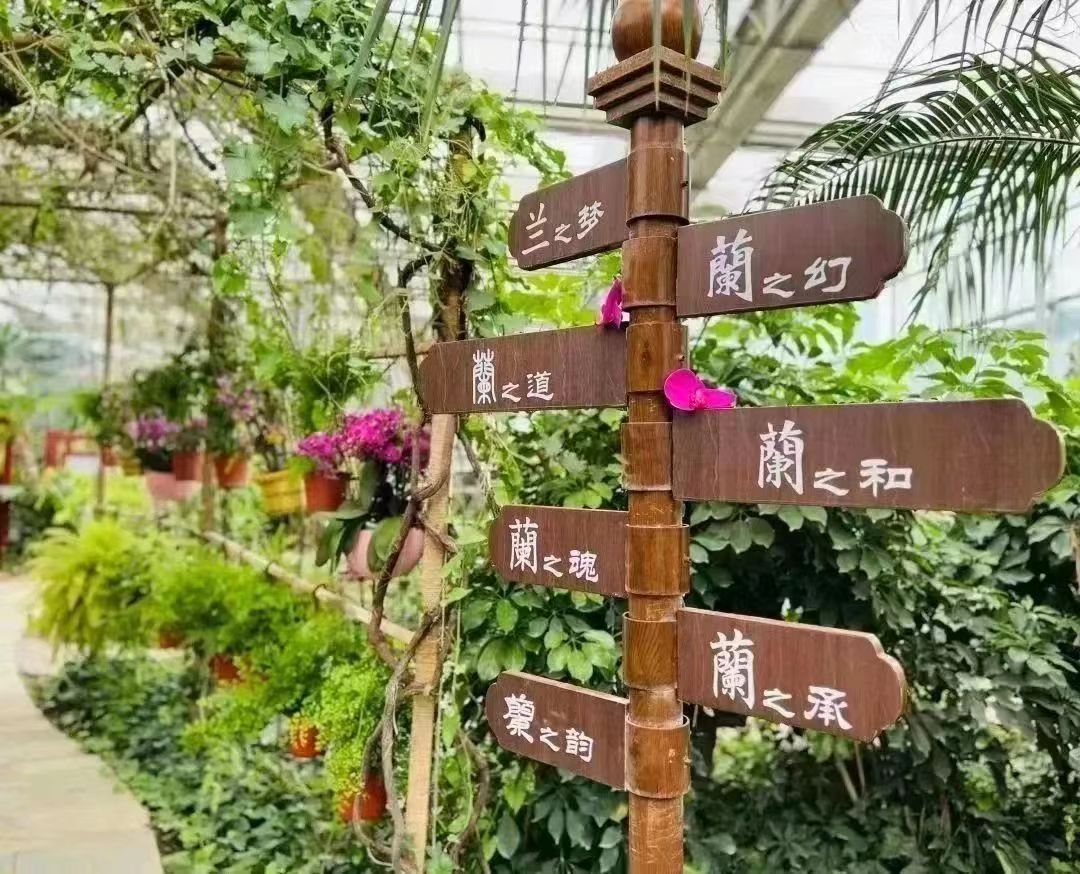 北京农业职业学院首届兰展,北京农职兰花展