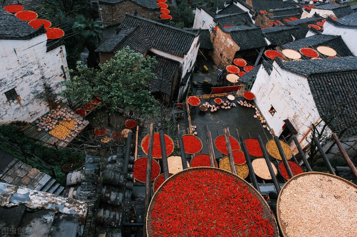 11月份去哪里玩最好玩呢,十一月份秋天适合去哪旅游国内