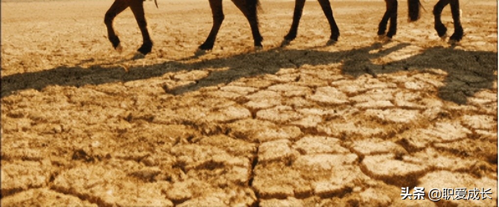 骆驼祥子电影观后感,观新疆纪录片心得体会300字