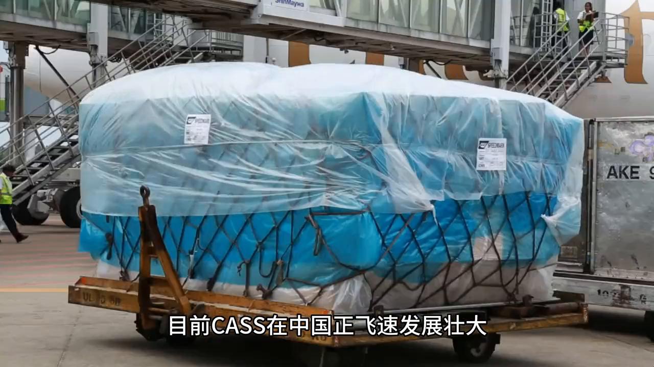 iata四个航空运输业务区,航协iata资质可以干啥