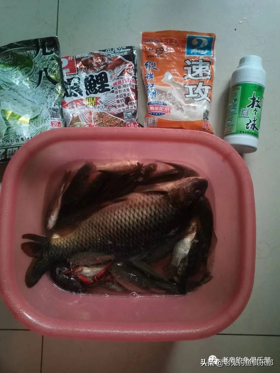 老鬼老三样冬天用什么饵,老鬼老三样实战