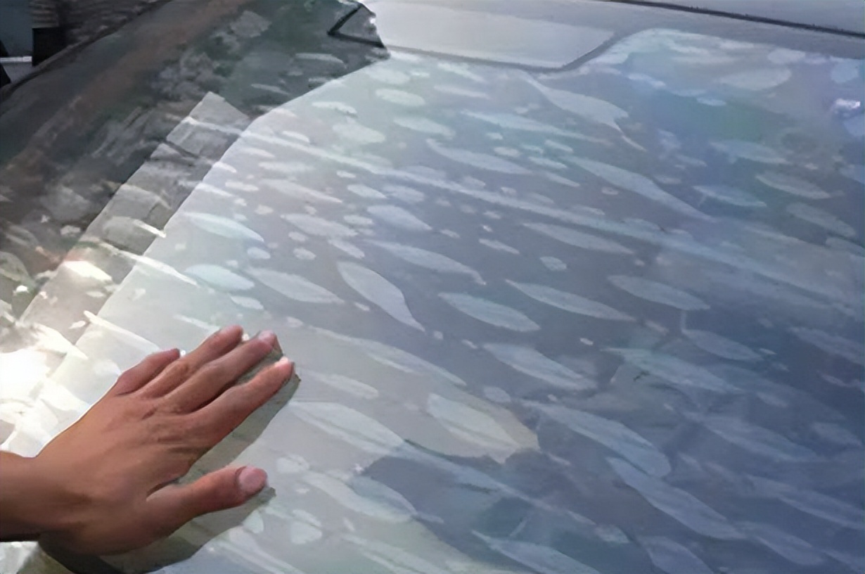 隔热大师高隔热膜怎么样,隔热大师贴膜多少钱