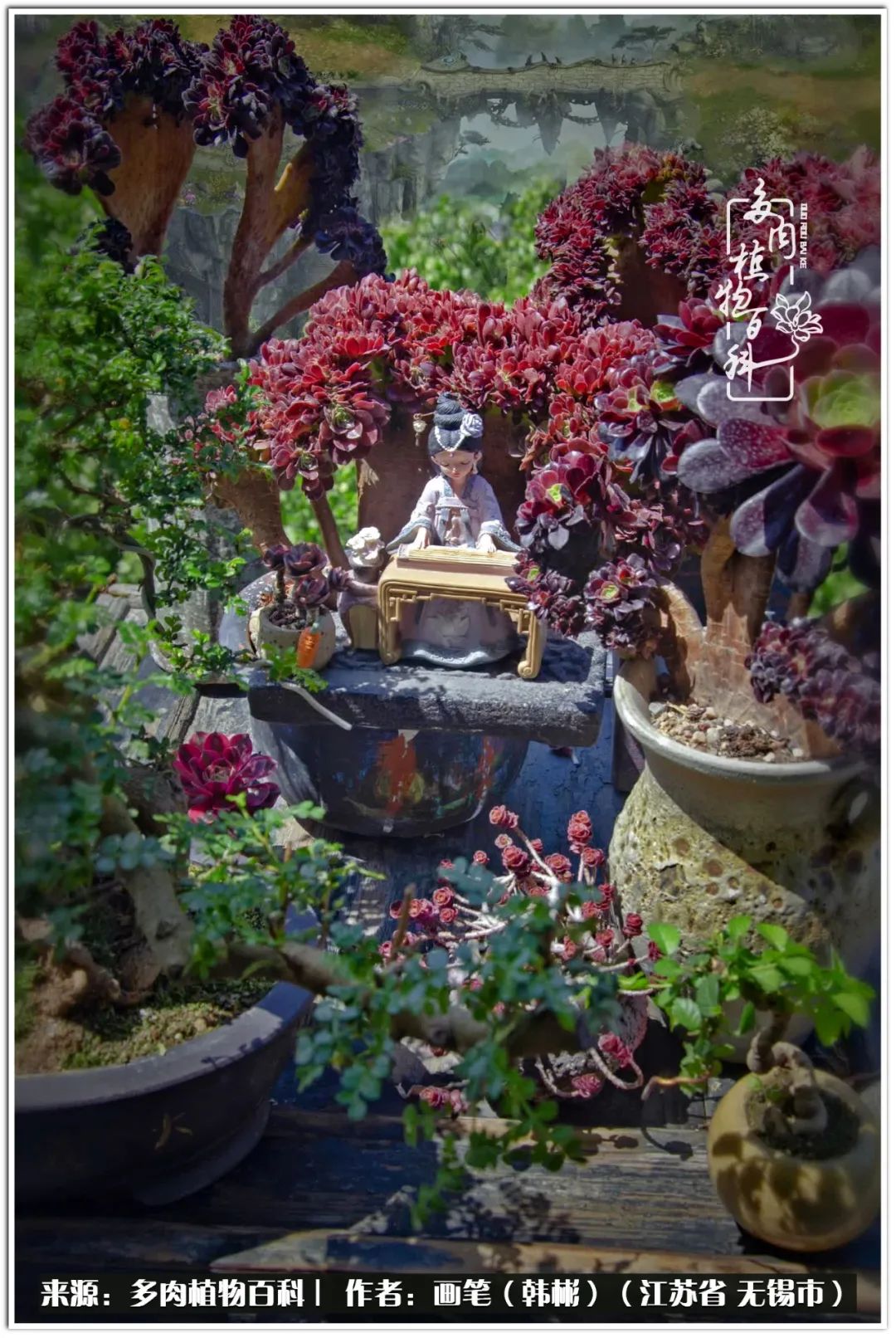 月满西楼别有一番滋味在心头,绿肥红瘦