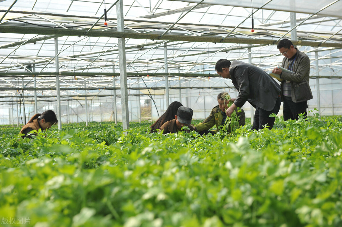 在村里被人看不起该怎么办？做到这几点，做一个受尊重的人