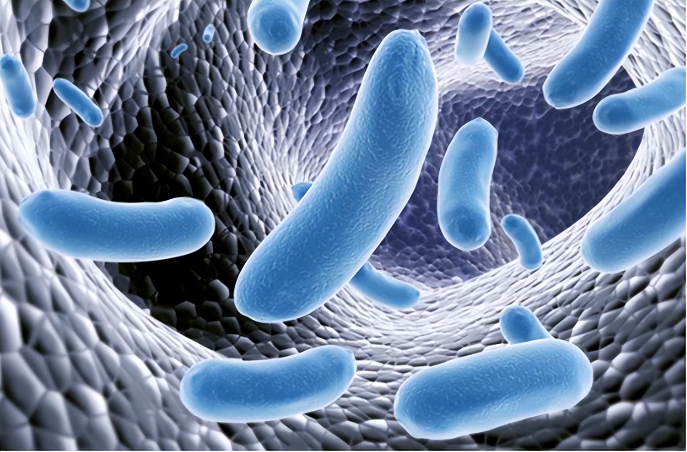 a型b型ab型o型哪个血型长寿,a型b型ab型o型哪种血型性格较好