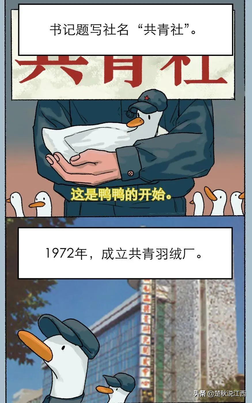 50年国货品牌,20年前中国的羽绒服品牌有哪些