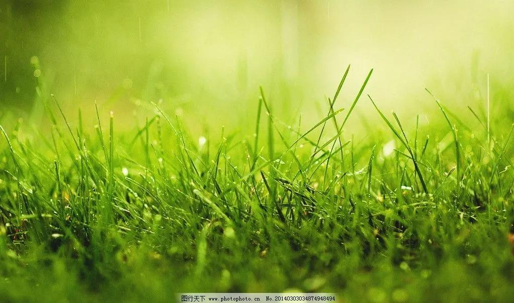 自律高效的日常生活,自律简单的日常生活