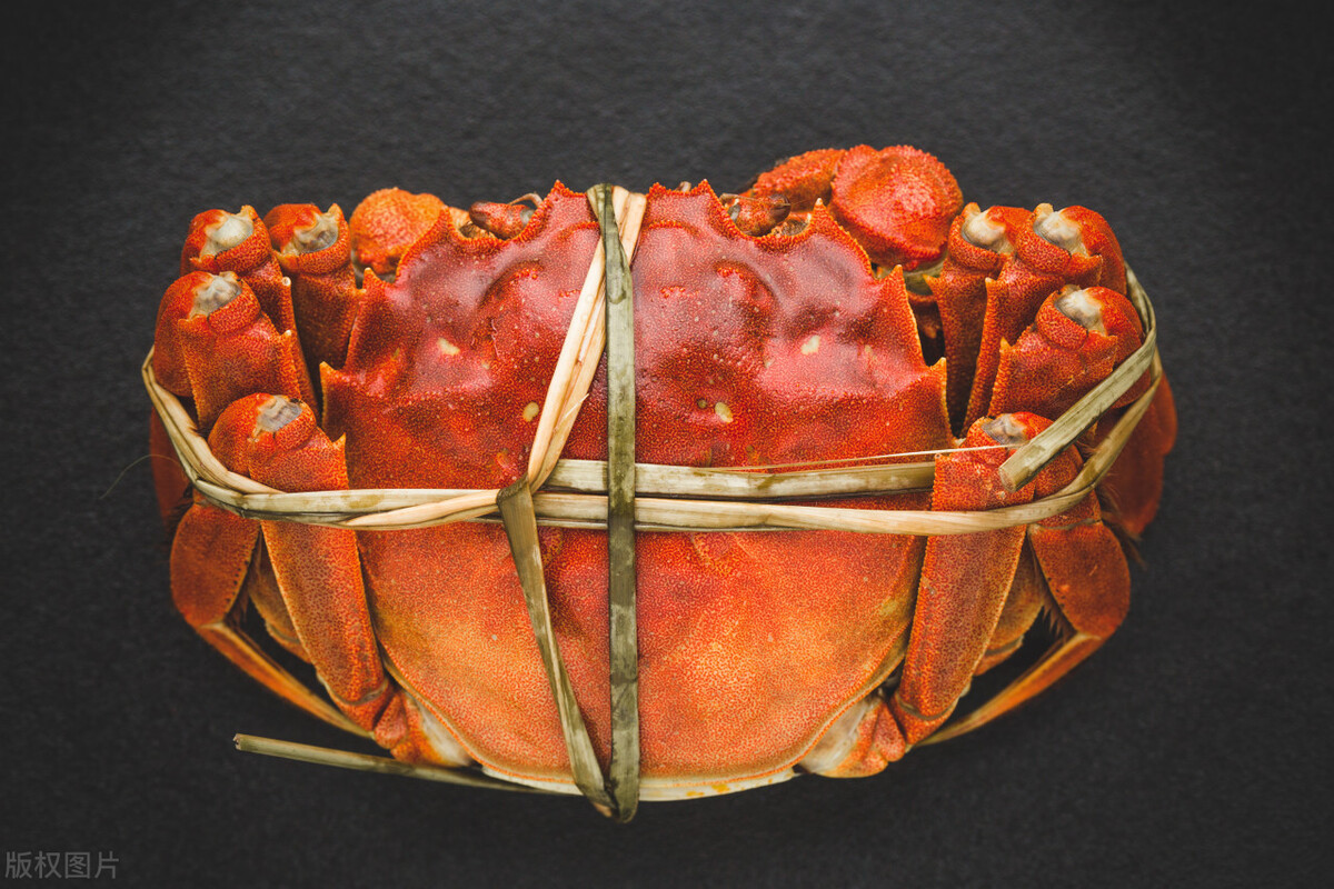 大闸蟹的储存方法和保存时间,大闸蟹要几月份才成熟好吃