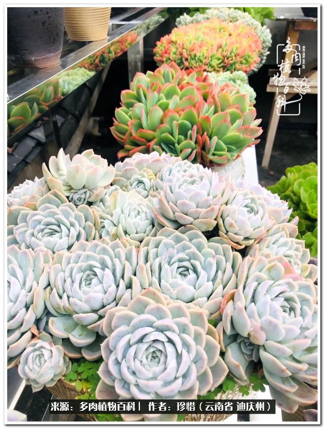 给生命一份淡然还岁月一份从容,给生命留一份洒脱的话