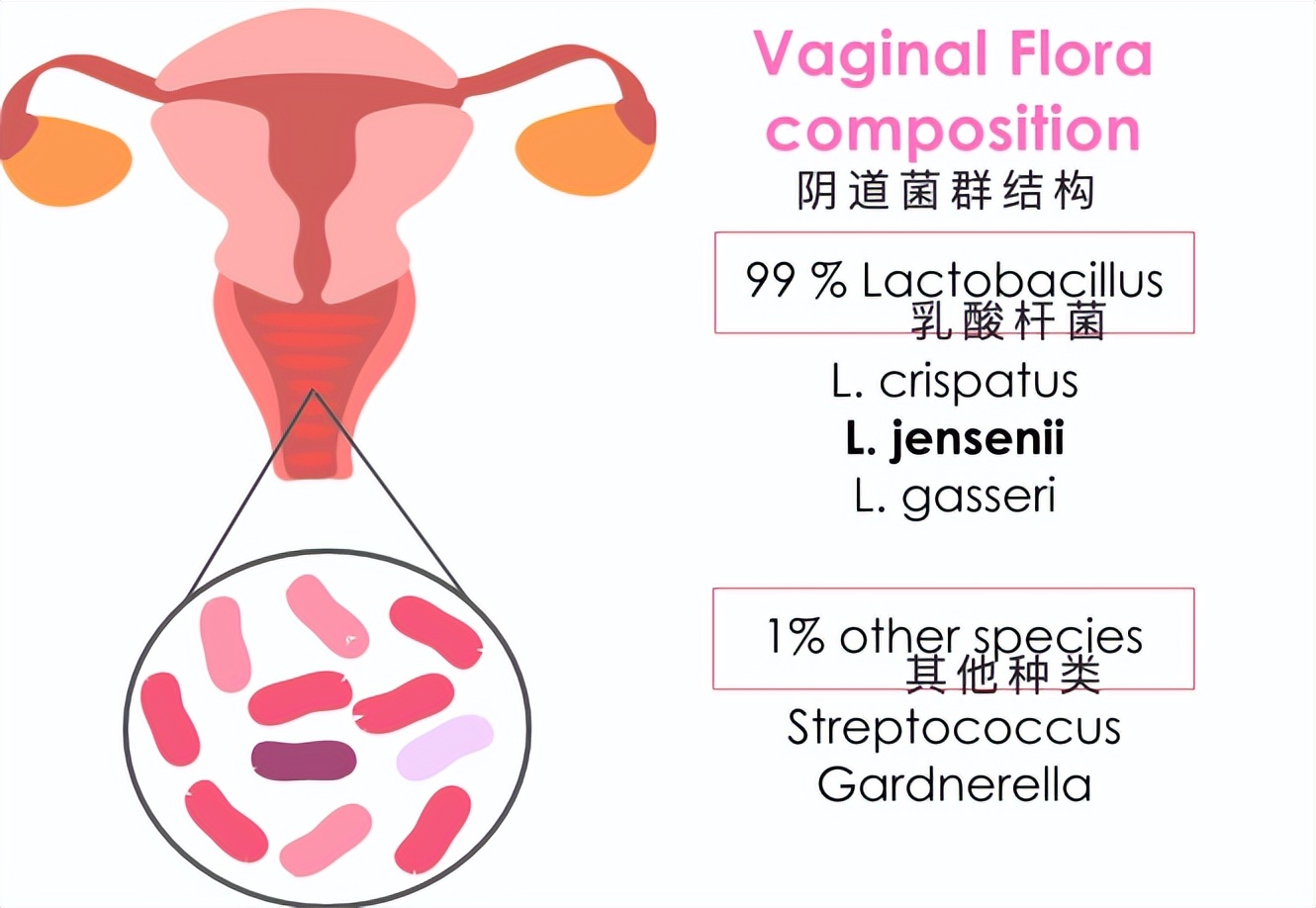 流产吧,刚怀孕不久建议药流还是人工流产