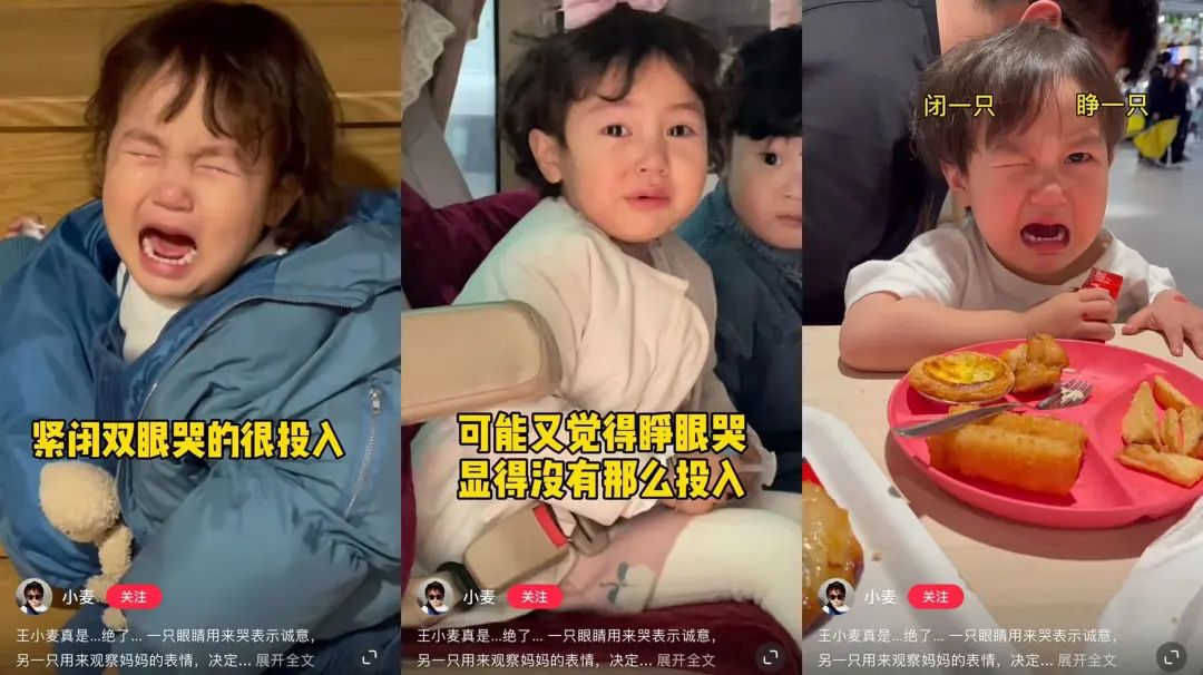 一个月涨粉最多的网红,最近一周涨粉最多的网红