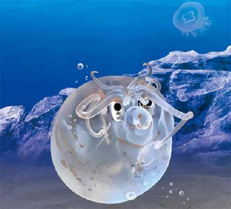 世界上最奇怪的十大海底生物,盘点海洋中最奇怪的海洋动物