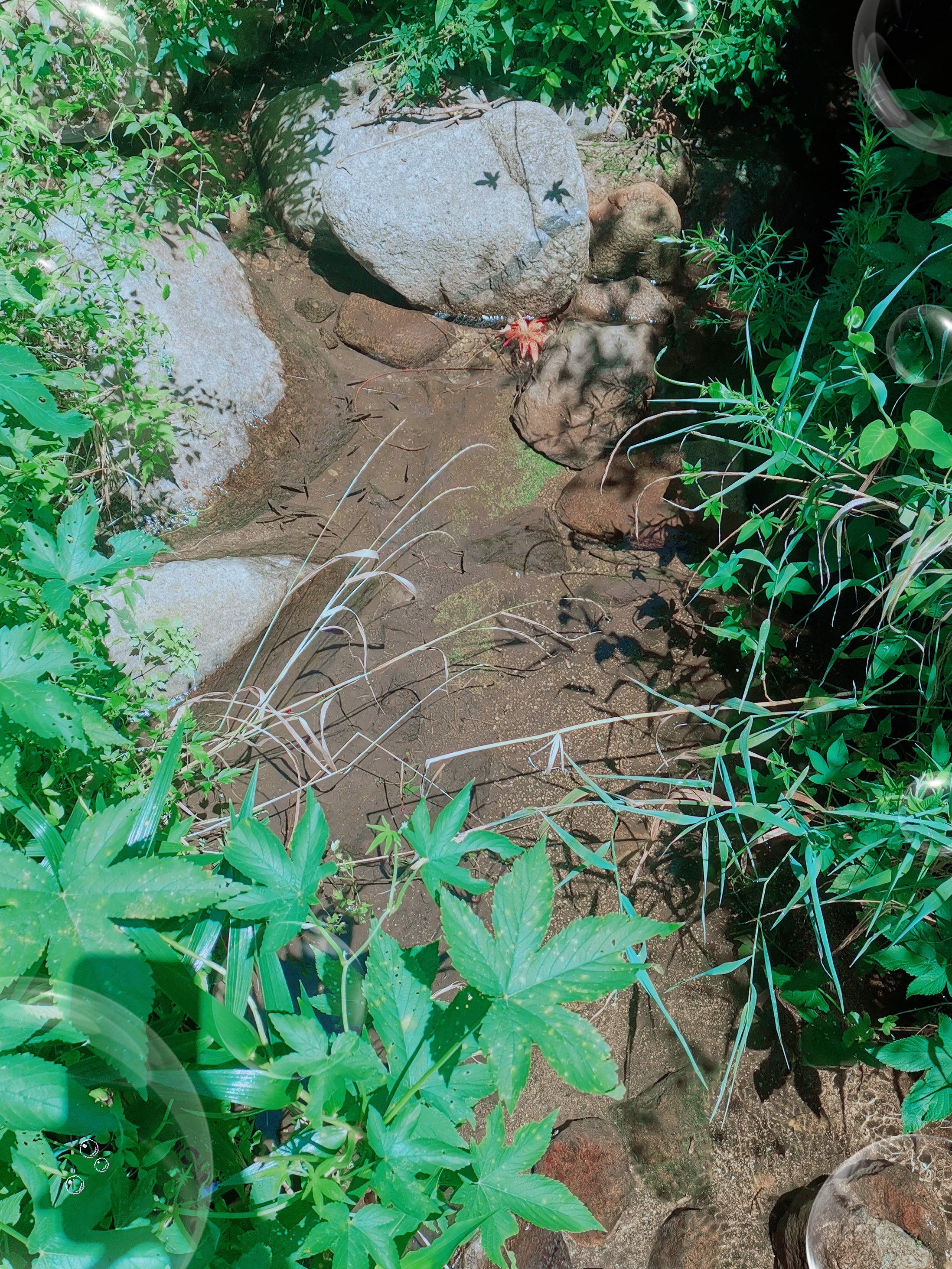 冬天天津周边徒步路线推荐,天津徒步旅游线路
