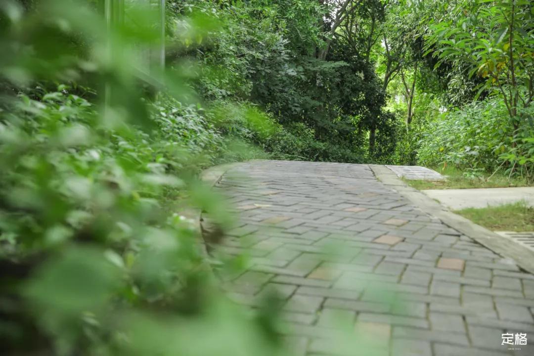 深圳百米长「纯白登山梯」，打卡绝了