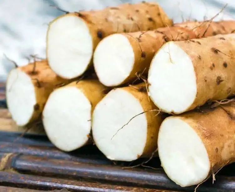 脾胃虚弱的老人可以吃山药吗,山药补脾肺肾阴虚吗