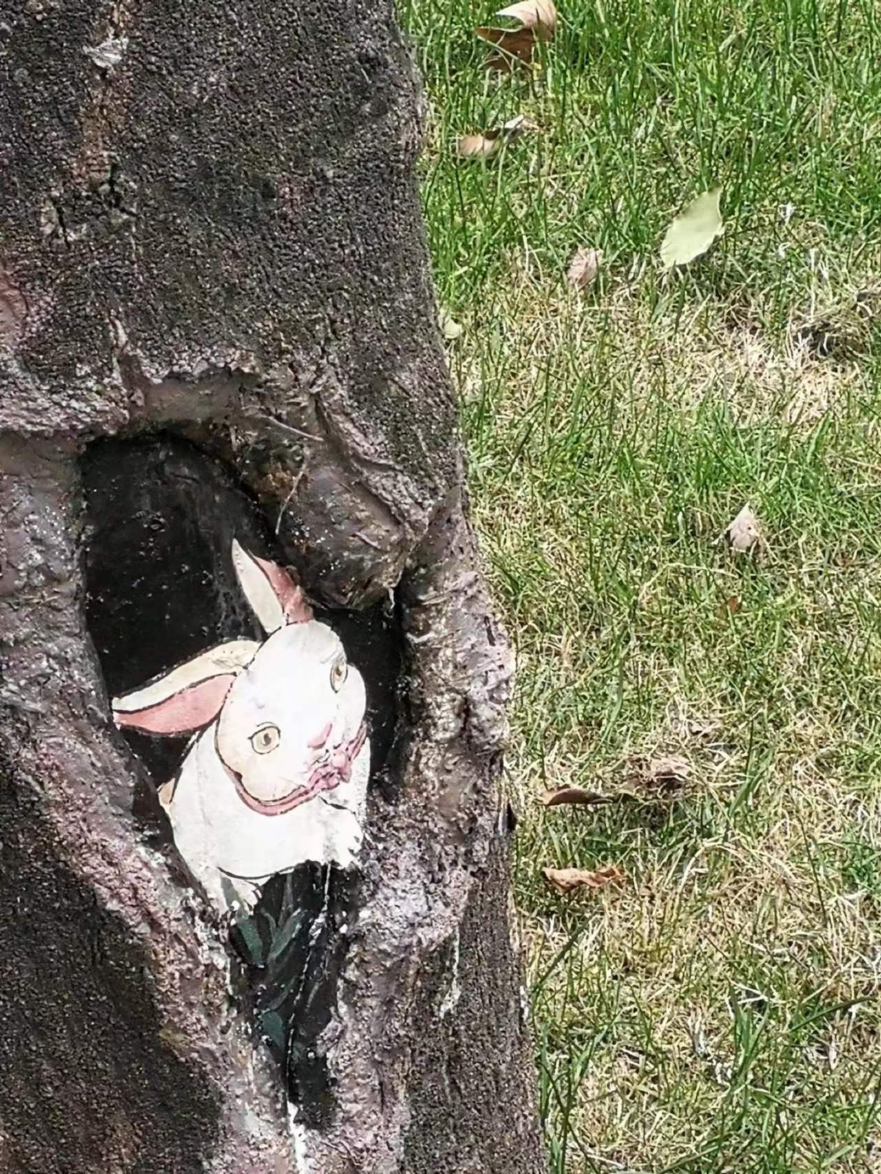 上海中山公园十大景观,上海中山公园新添8个树洞画