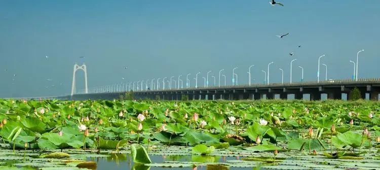 湿地可以开发什么旅游项目,黑龙江旅游必去十大湿地排名