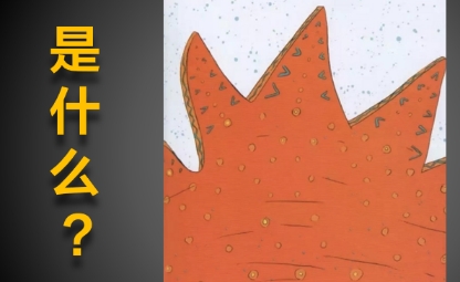 客流猫裂变,客流猫营销矩阵