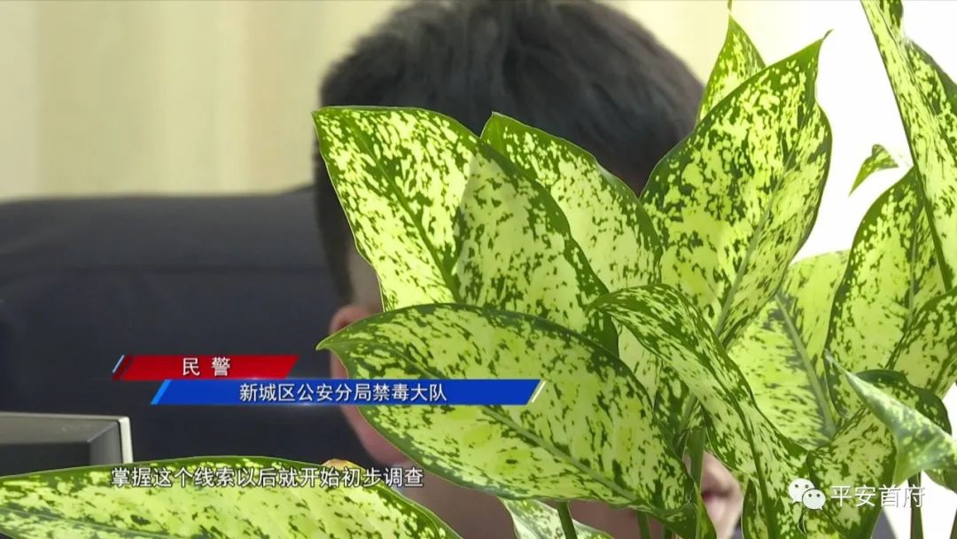 “家族式”制贩*证假**假章伪造的国家机关及企业事业单位印章三百余枚一家人全被抓