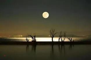 觉醒的秘诀有哪些,觉醒的基本原理