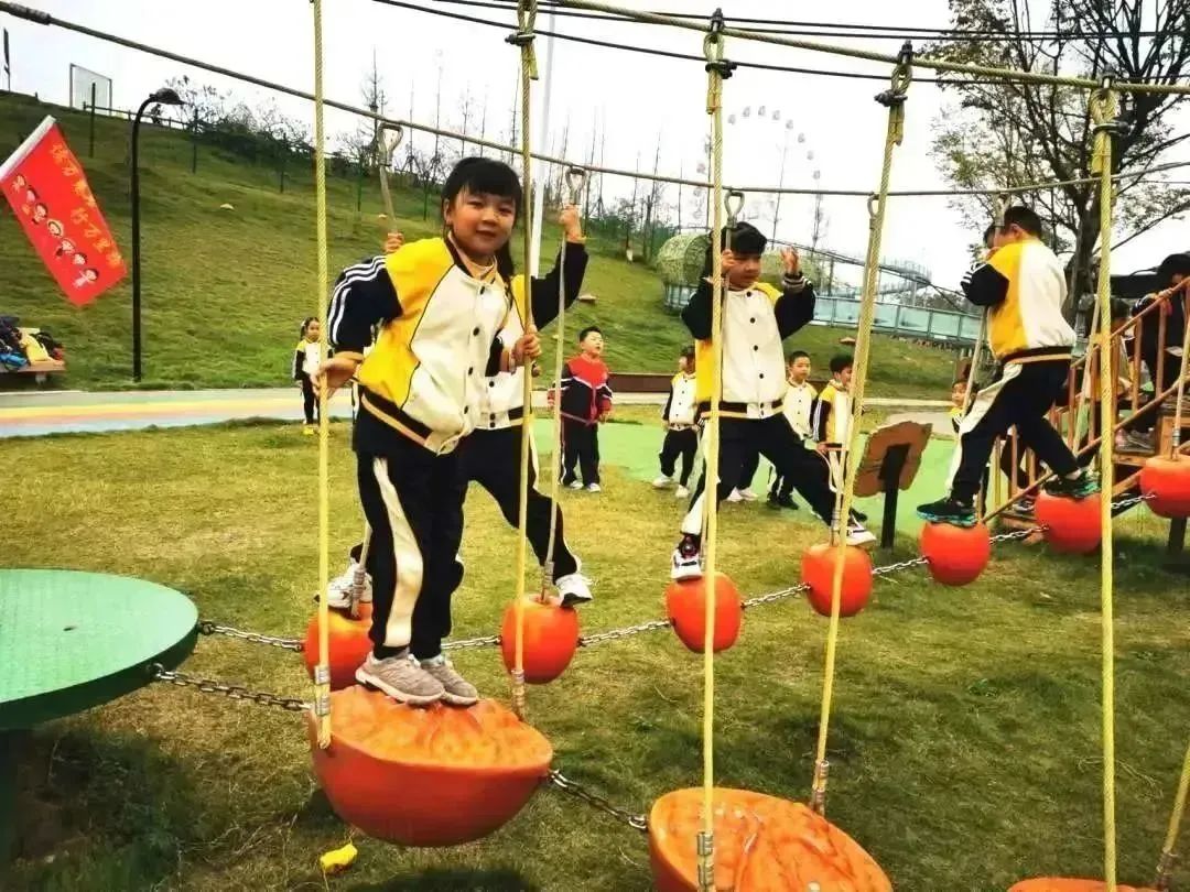 种子乐园游玩攻略,种子乐园2-6岁儿童科普