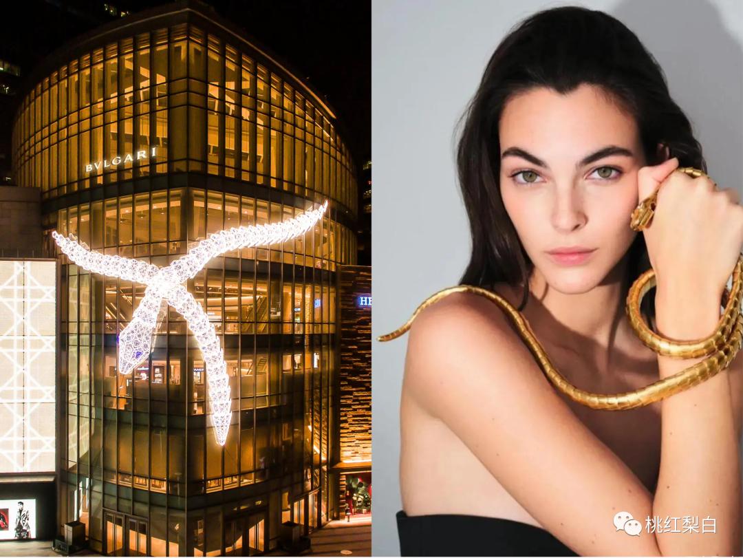 伊丽莎白泰勒去世后珠宝去哪里了,世界头号美女泰勒