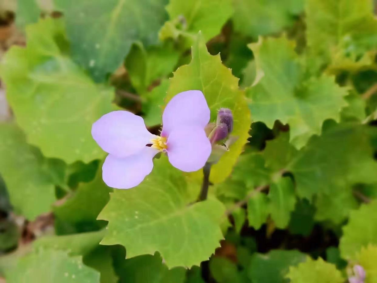 婚姻里什么才是女人的终极安全感,女人怎么样才能在婚姻里有安全感
