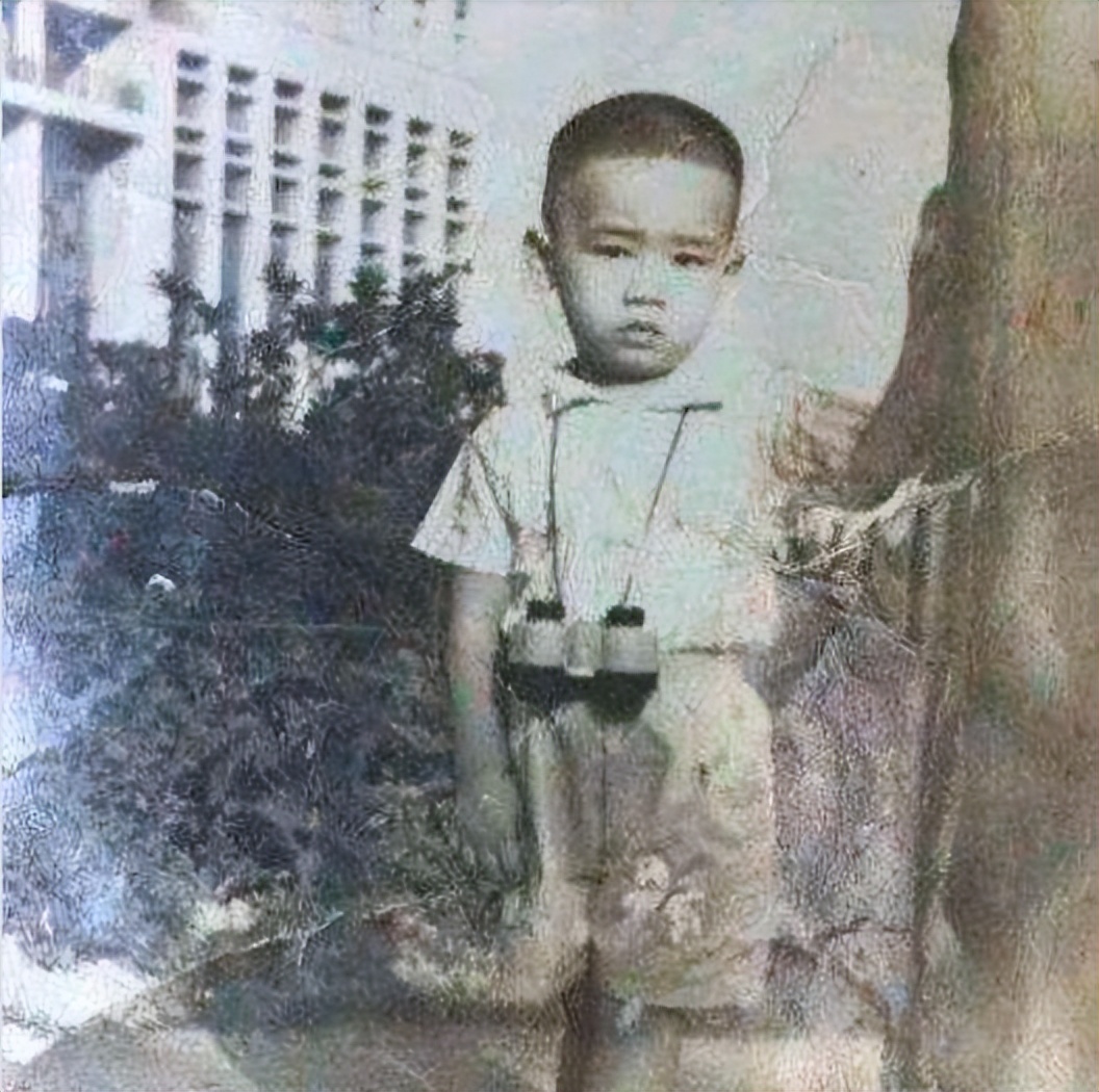 陈小春成长经历,陈小春15年艰难成名史