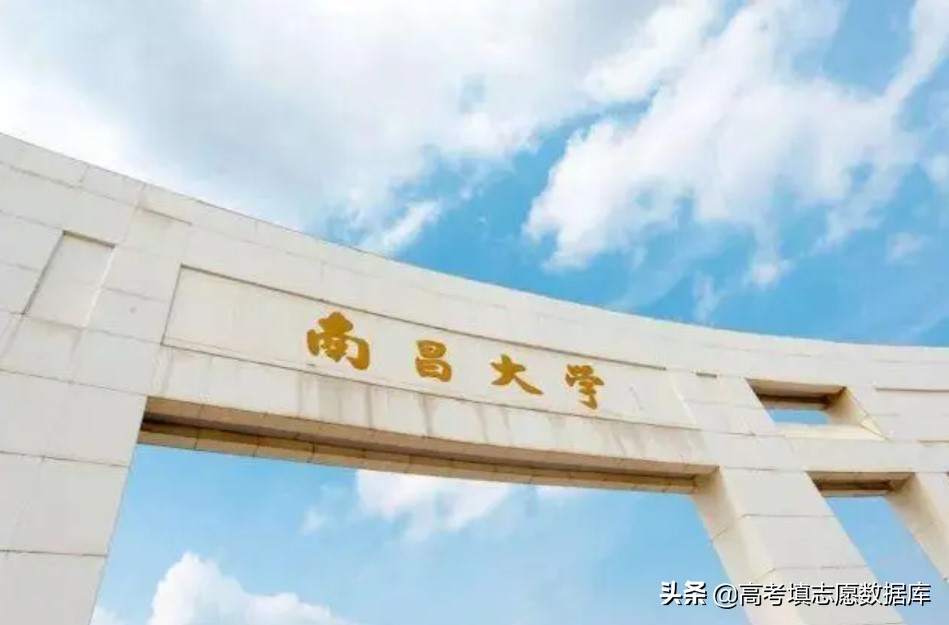 江西省新高考主要投档方式,新高考改革志愿填报样表