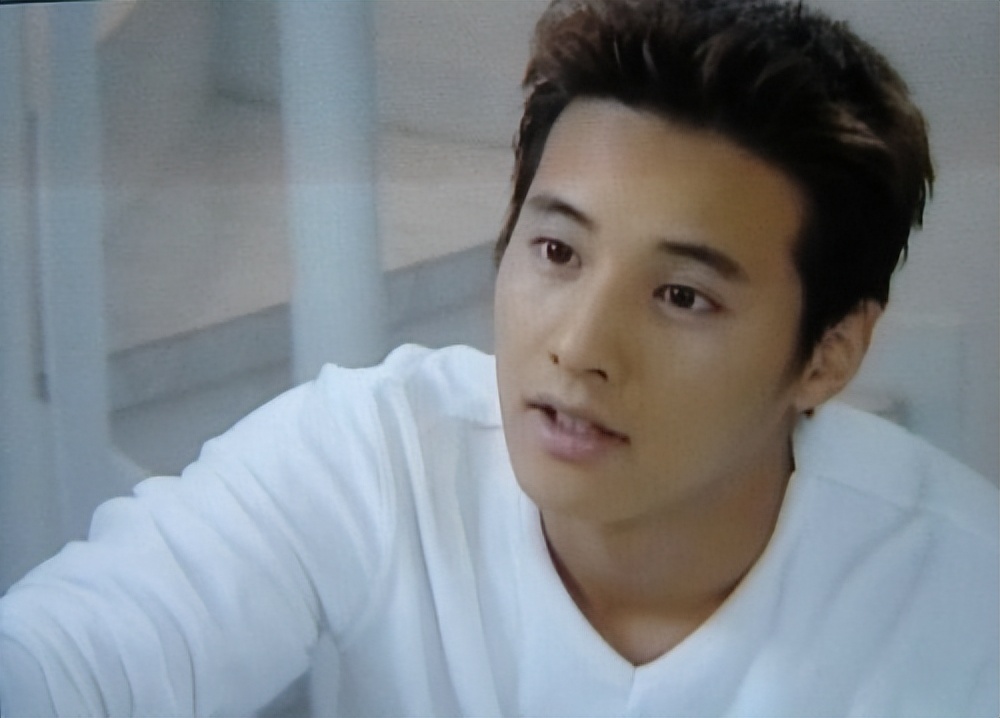 蓝色生死恋芯爱大女主,蓝色生死恋全集解读