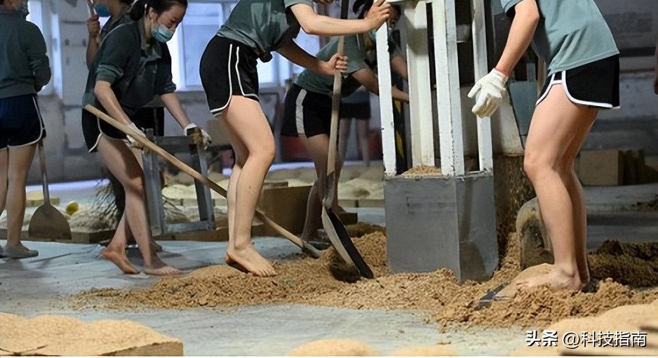 茅台踩曲工照片,茅台踩酒女工视频