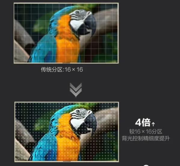75寸电视哪个分区背光最好,背光分区和量子点电视哪个好