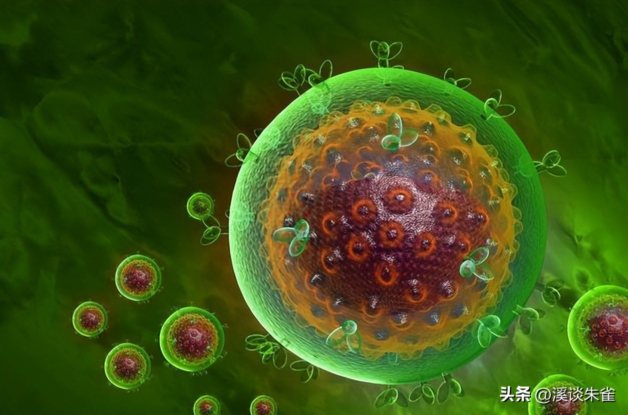 牛流行性腹泻疫苗免疫结果,肠道病毒疫苗终身受益吗