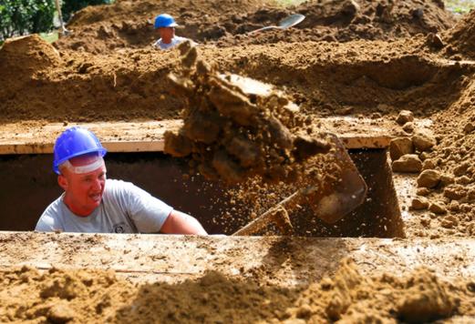 听过佛罗里达扭曲树精的故事吗,佛罗里达扭曲树精后续